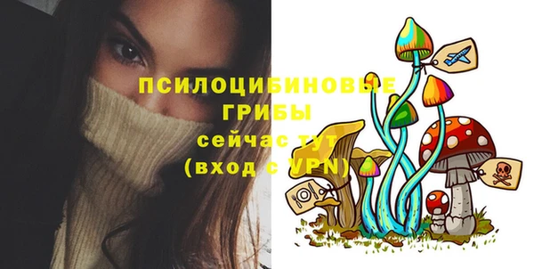 ECSTASY Зерноград