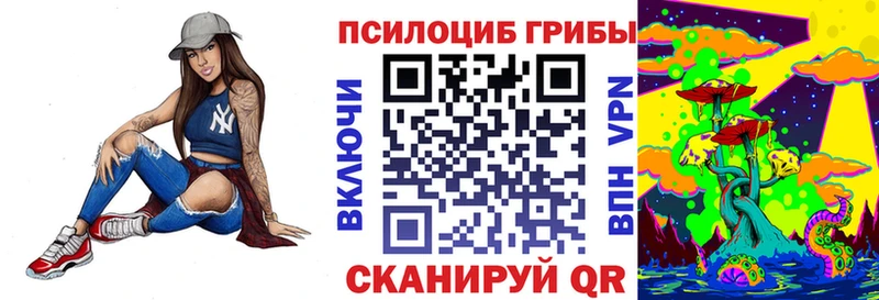 Купить где  Игарка  Галлюциногенные грибы мицелий 